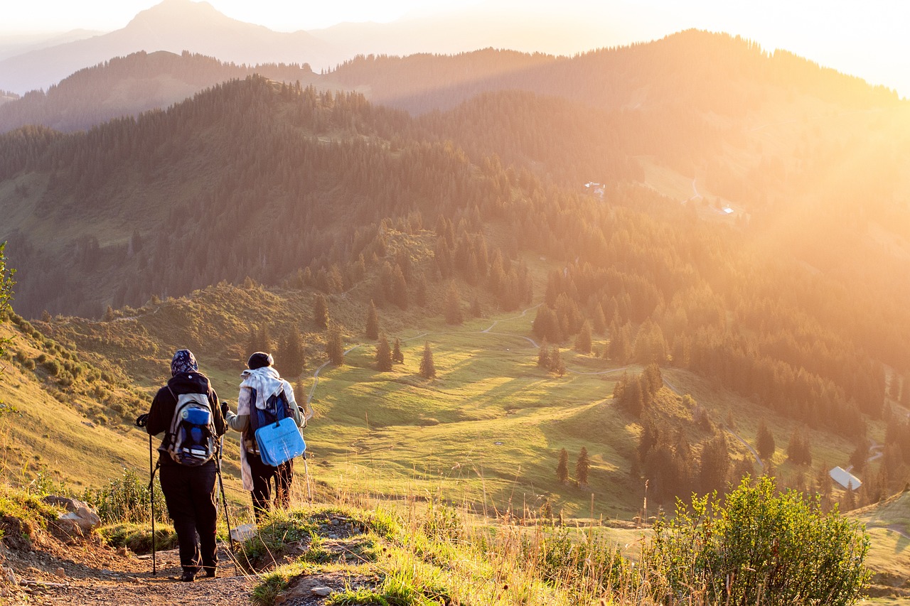 Abenteuer im Freien: Wandern in den Alpen