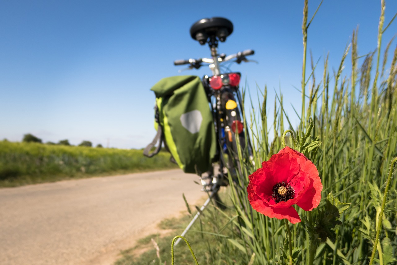 Outdoor-Aktivitäten im Sommer: Von Kayak bis Klettern