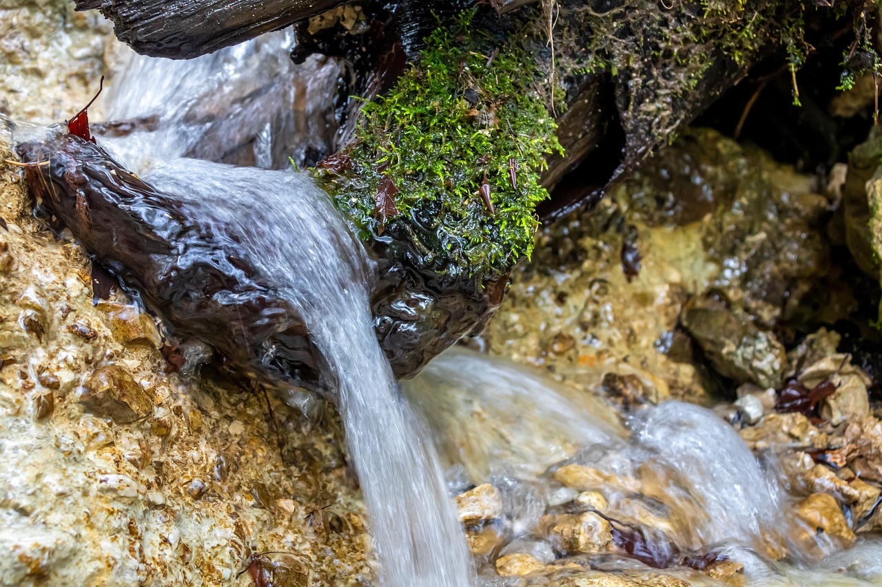 entdecken sie die vielfalt der nahrungsquellen mit köstlichen und nahrhaften optionen aus aller welt. genießen sie eine abwechslungsreiche ernährung, die gesundheit und genuss vereint.