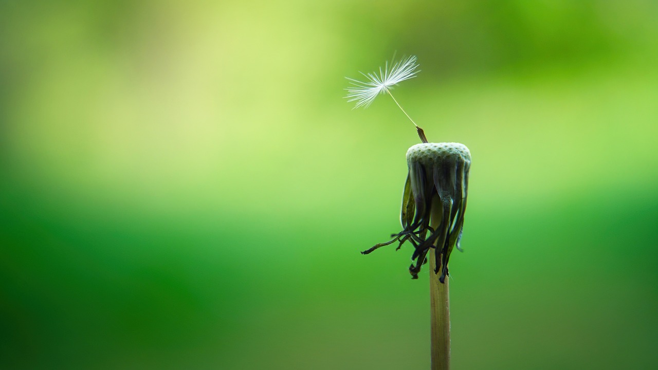 erleben sie die transformative kraft der achtsamkeit. entdecken sie techniken und praktiken, um im hier und jetzt zu leben, stress abzubauen und ihr allgemeines wohlbefinden zu steigern.