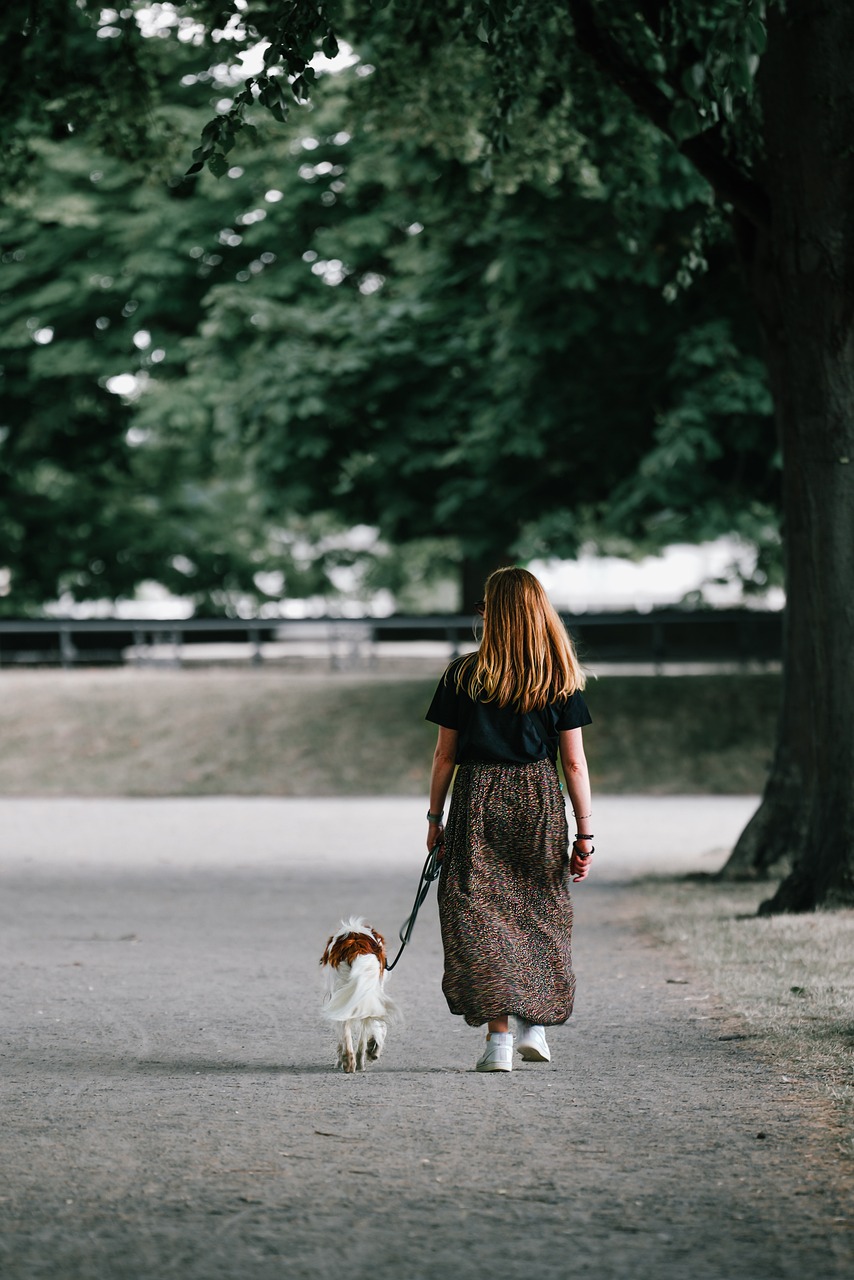 Ein Spaziergang in der Natur fördert das Wohlbefinden