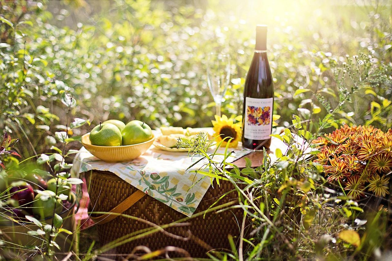 Wie man ein einfaches picknick vorbereitet