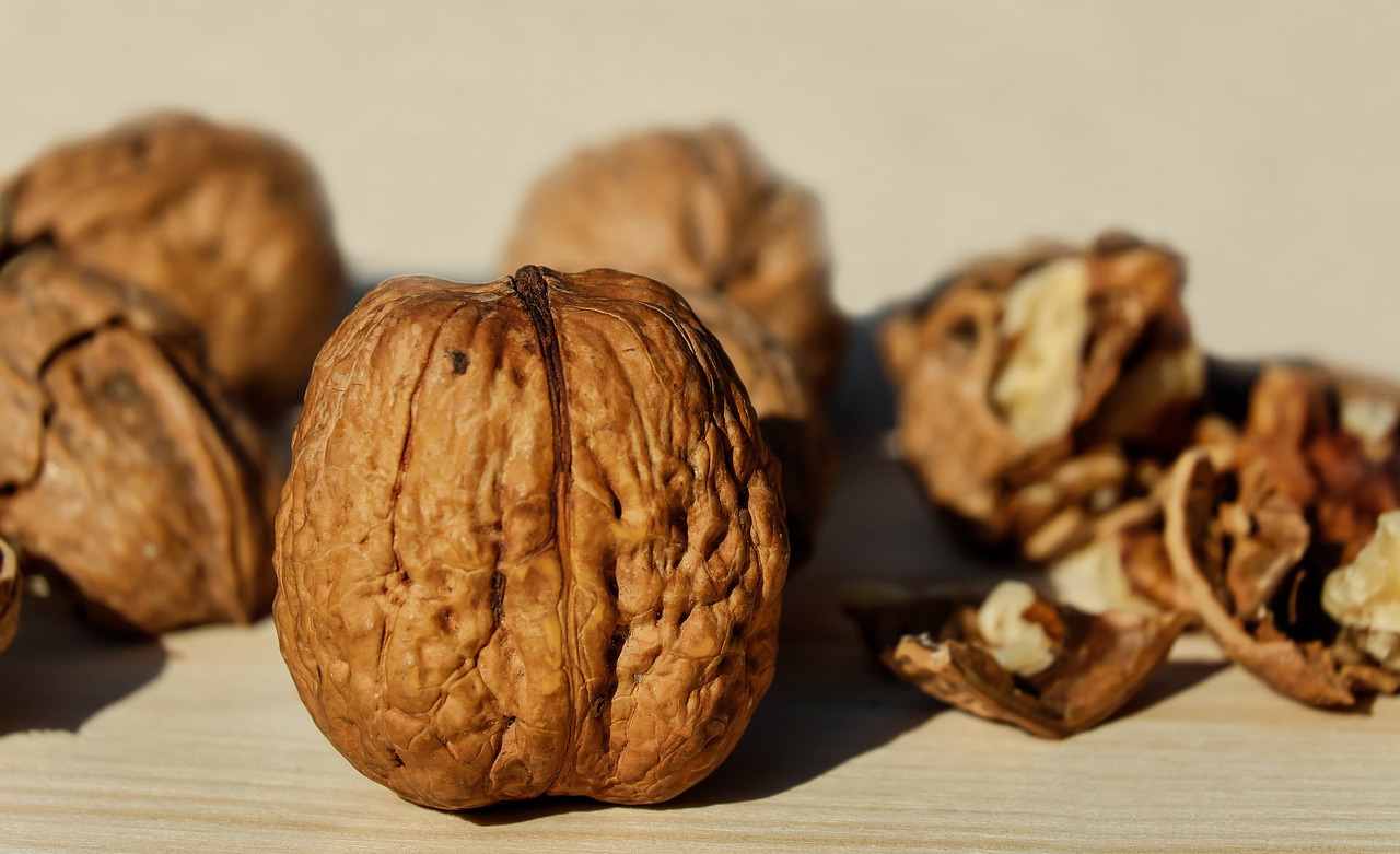 entdecken sie gesunde snacks, die nicht nur köstlich sind, sondern auch ihrem wohlbefinden dienen. perfekt für zwischendurch oder als energiereicher snack für unterwegs. genießen sie leckere und nahrhafte optionen.