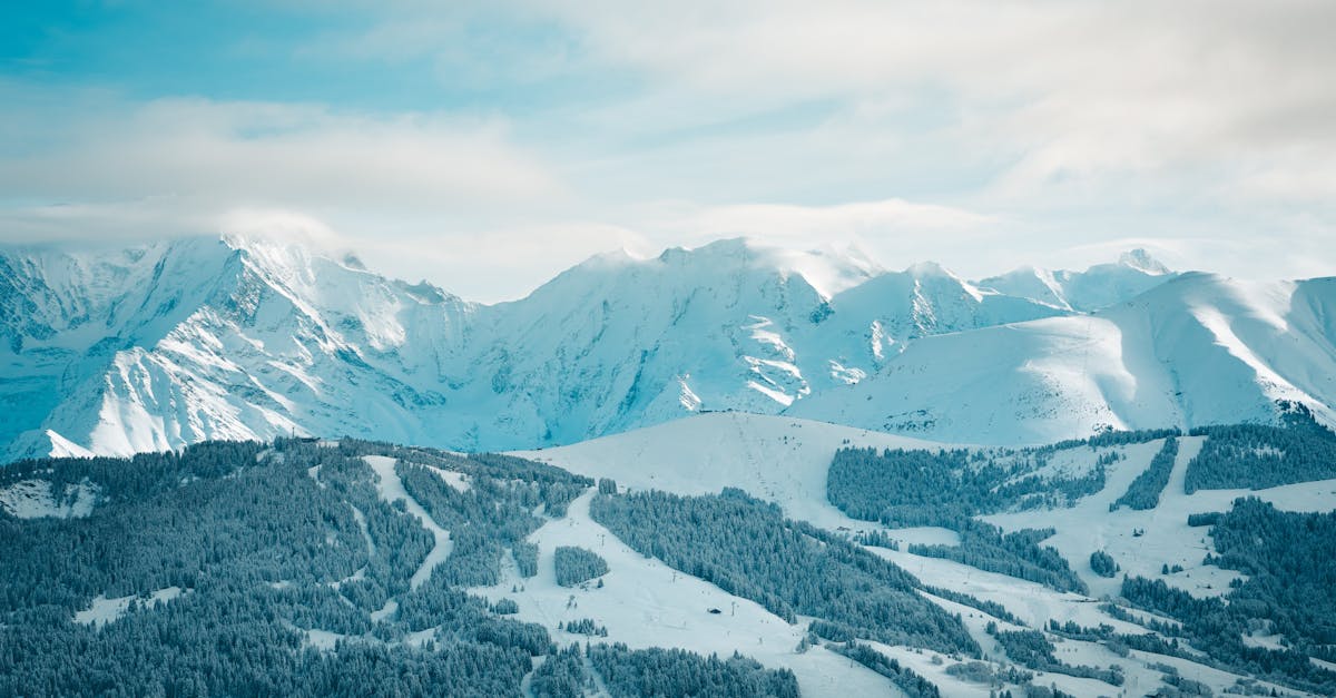 entdecken sie die neuesten reise-trends für 2023! erfahren sie, welche destinationen, aktivitäten und erfahrungen die reisewelt erobern und wie sie ihre nächste reise unvergesslich gestalten können.