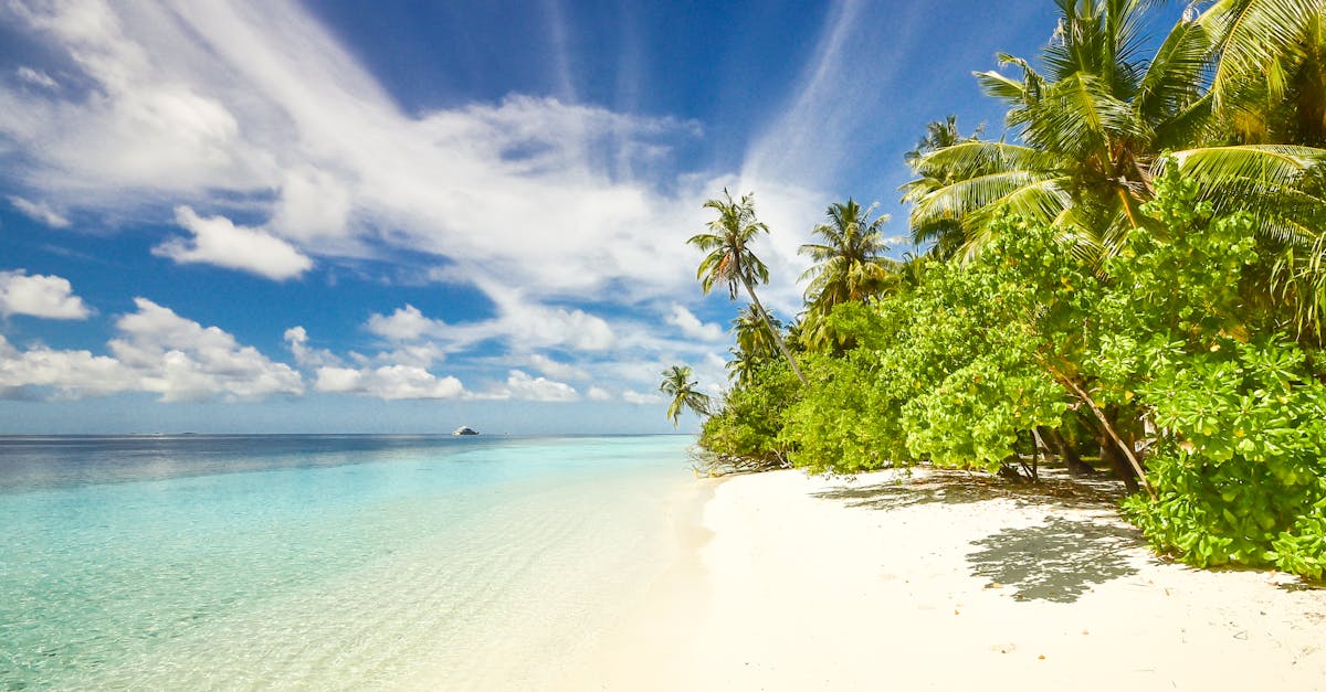 entdecken sie die schönsten strände der welt! genießen sie sonnige tage, kristallklares wasser und entspannende aktivitäten am meer. perfekt für ihren nächsten urlaub!