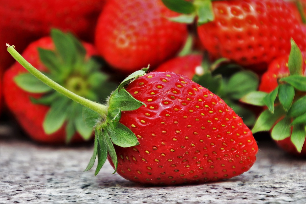 entdecken sie die köstlichen saisonalen lebensmittel, die je nach jahreszeit frisch und aromatisch sind. genießen sie die vielfalt der natur mit gesunden rezepten und tipps zum kochen mit saisonalen zutaten.