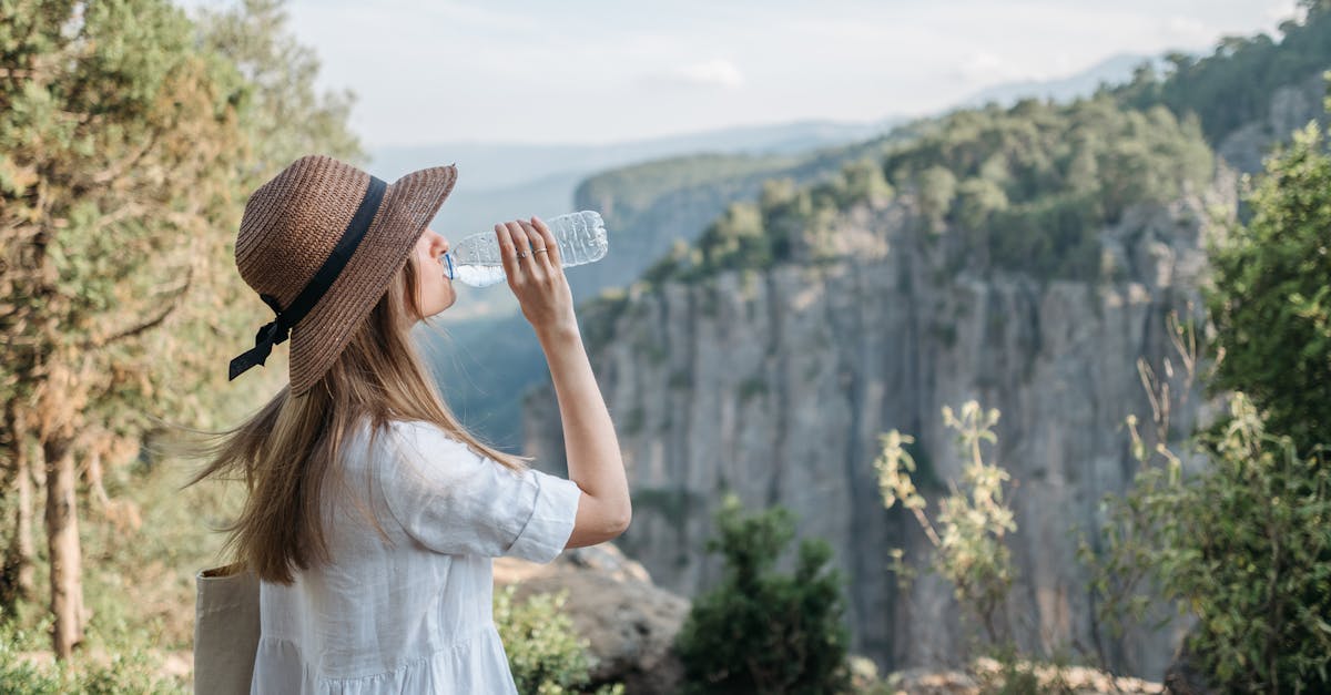 entdecken sie nachhaltiges reisen: tipps und tricks für umweltfreundliche urlaubsoptionen, die sowohl den planeten schützen als auch unvergessliche erlebnisse bieten.