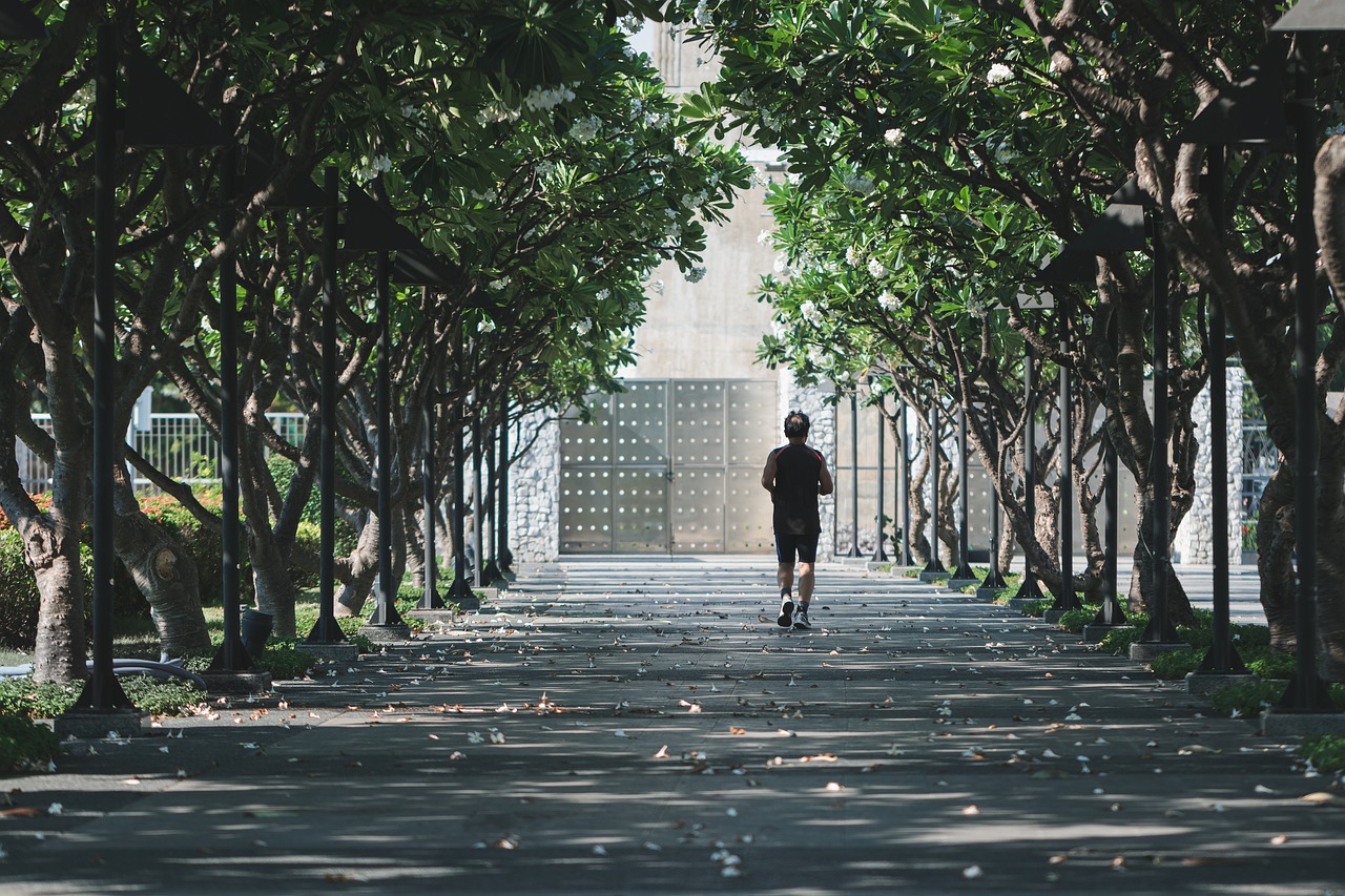 entdecken sie effektive übungen für fitness und gesundheit. verbessern sie ihre stärke, ausdauer und flexibilität mit gezielten trainingsplänen für jedes niveau.