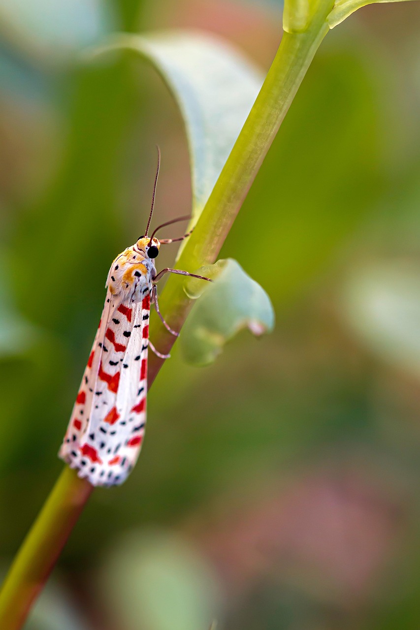 entdecken sie die faszinierende schönheit der natur – von atemberaubenden landschaften bis hin zu artenreicher tierwelt. lassen sie sich inspirieren von frischen luft und friedlicher stille, während sie die wunder der natur erkunden.